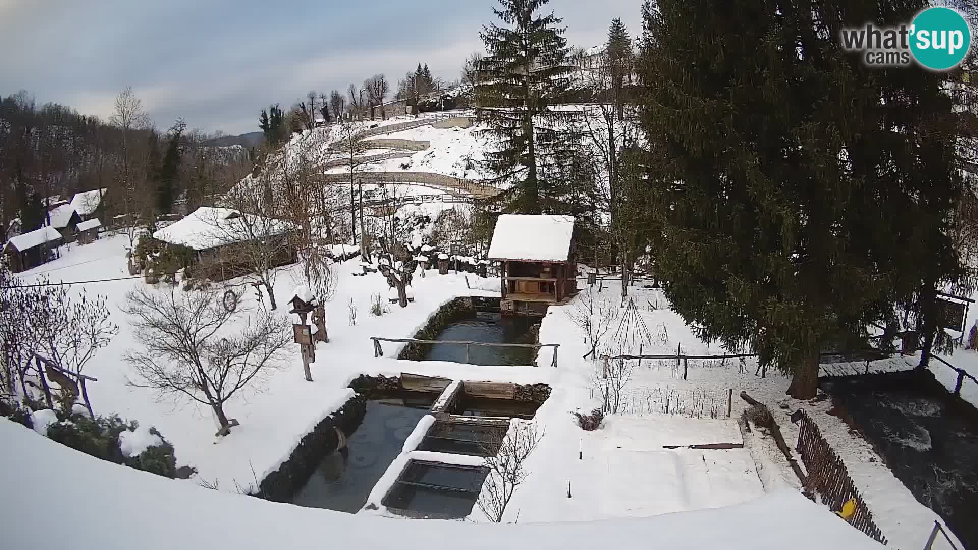 Webcam en direct Rastoke – rivière Slunjčica – Croatie