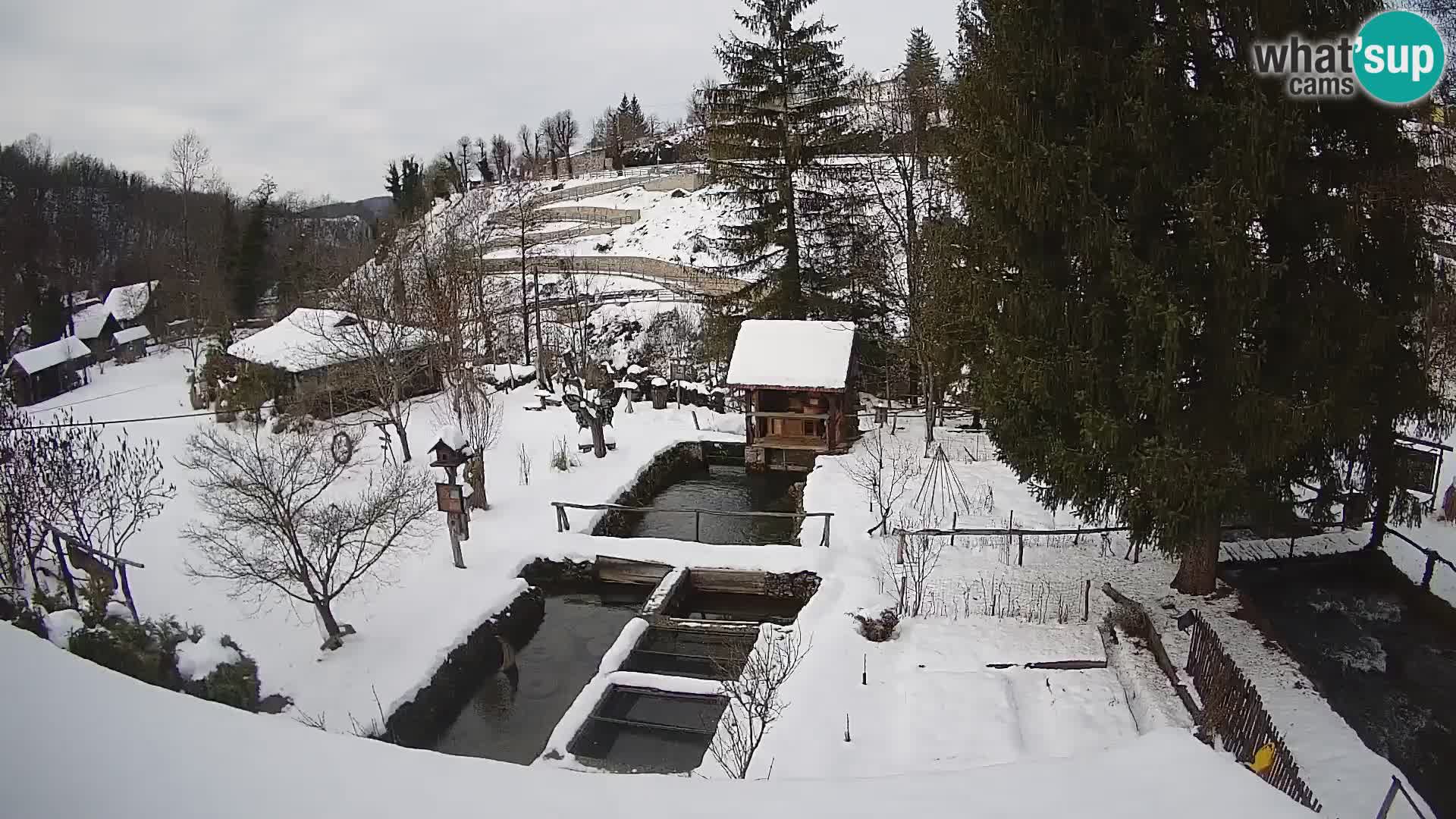 Live webcam Rastoke – river Slunjčica – Croatia