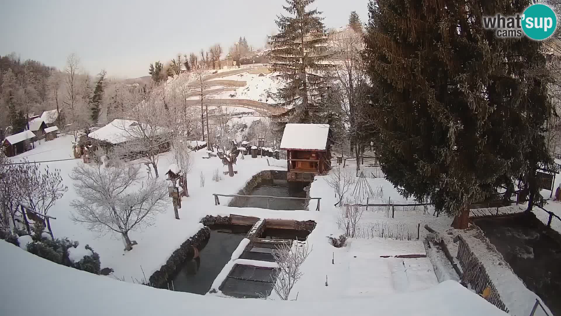 Cámara web en vivo Rastoke – río Slunjčica – Croacia