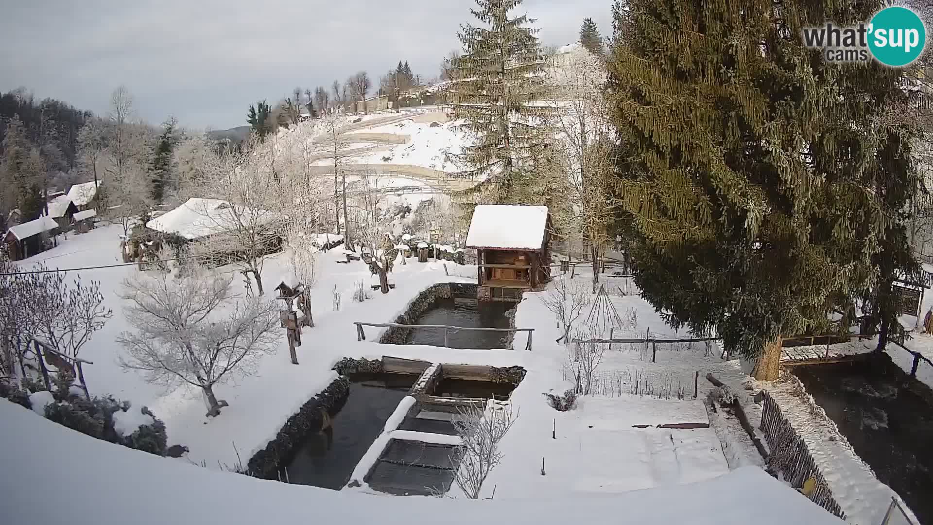 Live-Webcam Rastoke – Fluss Slunjčica – Kroatien