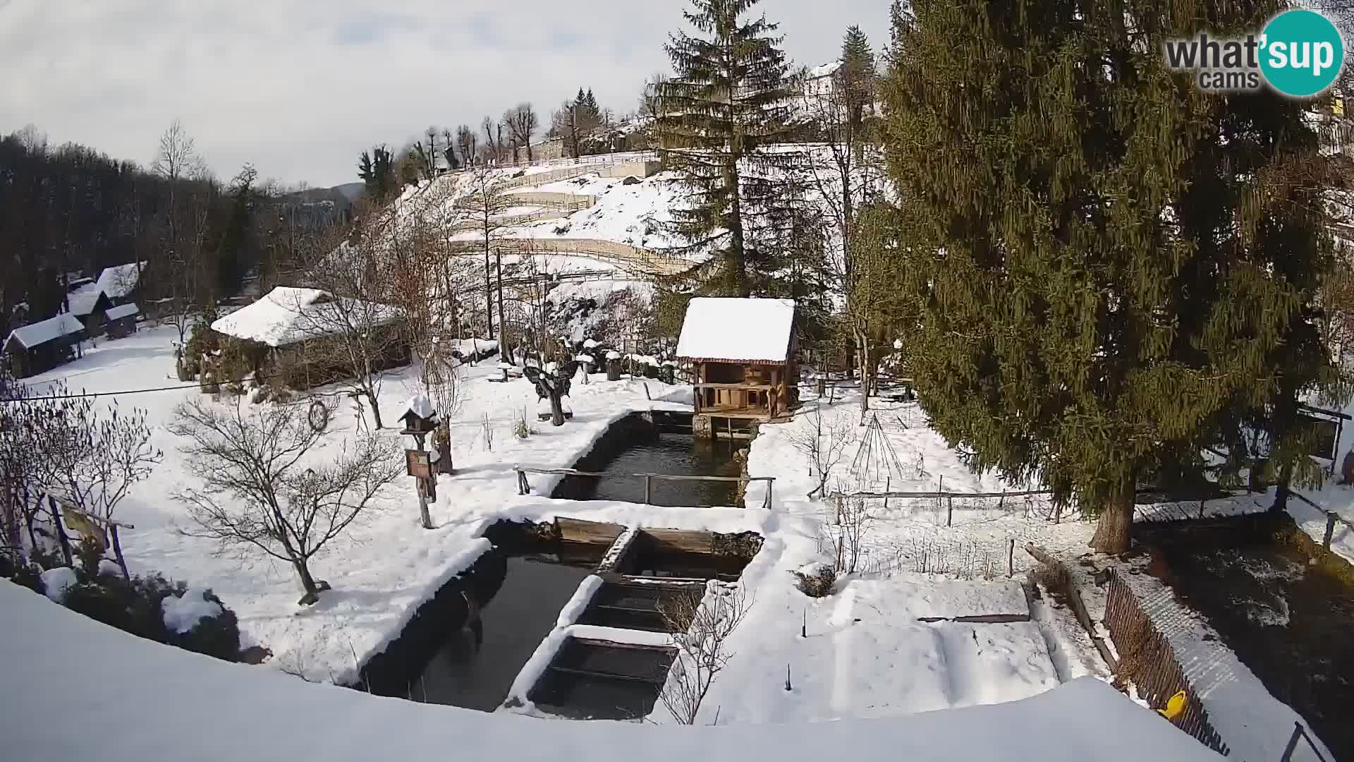 Live webcam Rastoke – fiume Slunjčica – Croazia
