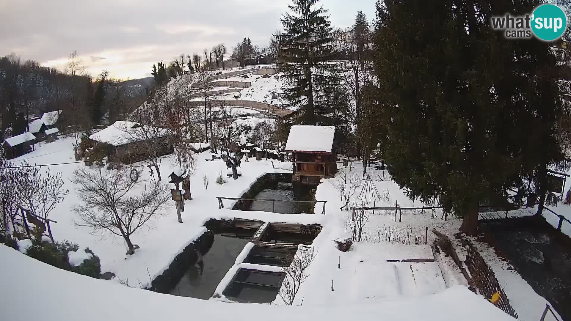 Spletna kamera v živo Rastoke – reka Slunjčica – Hrvaška