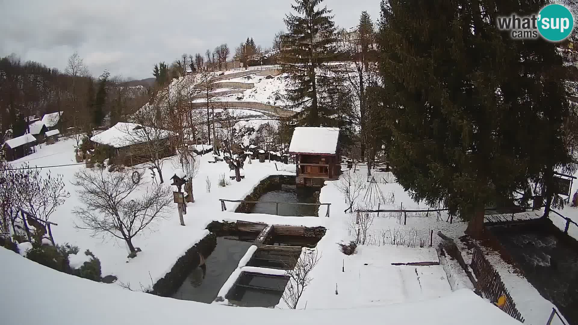 Cámara web en vivo Rastoke – río Slunjčica – Croacia