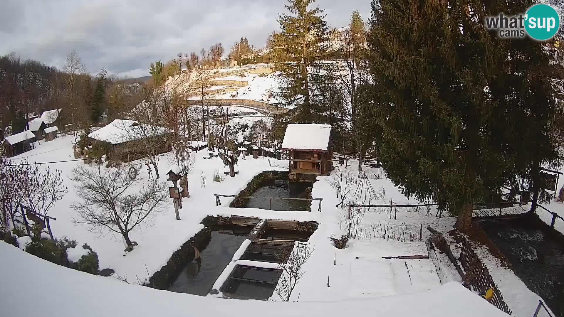 Spletna kamera v živo Rastoke – reka Slunjčica – Hrvaška