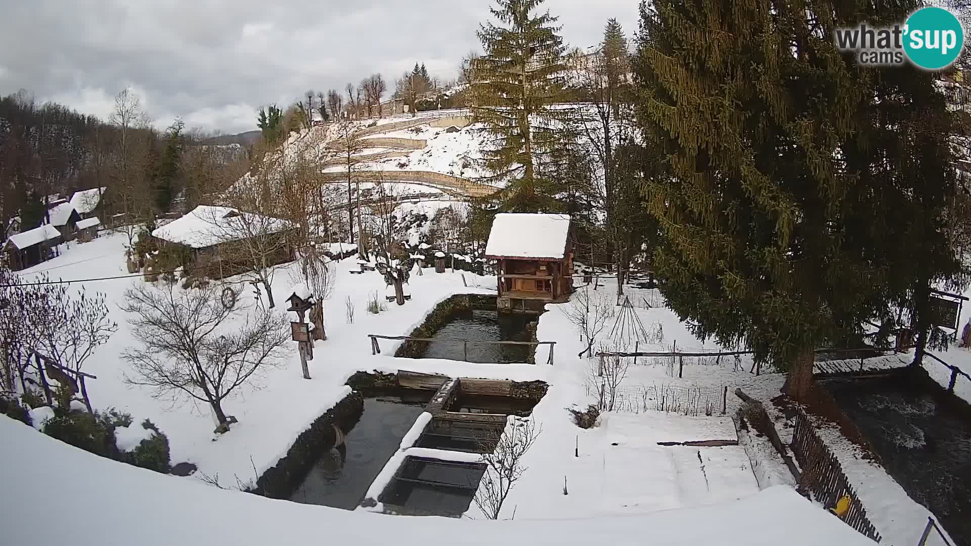 Spletna kamera v živo Rastoke – reka Slunjčica – Hrvaška