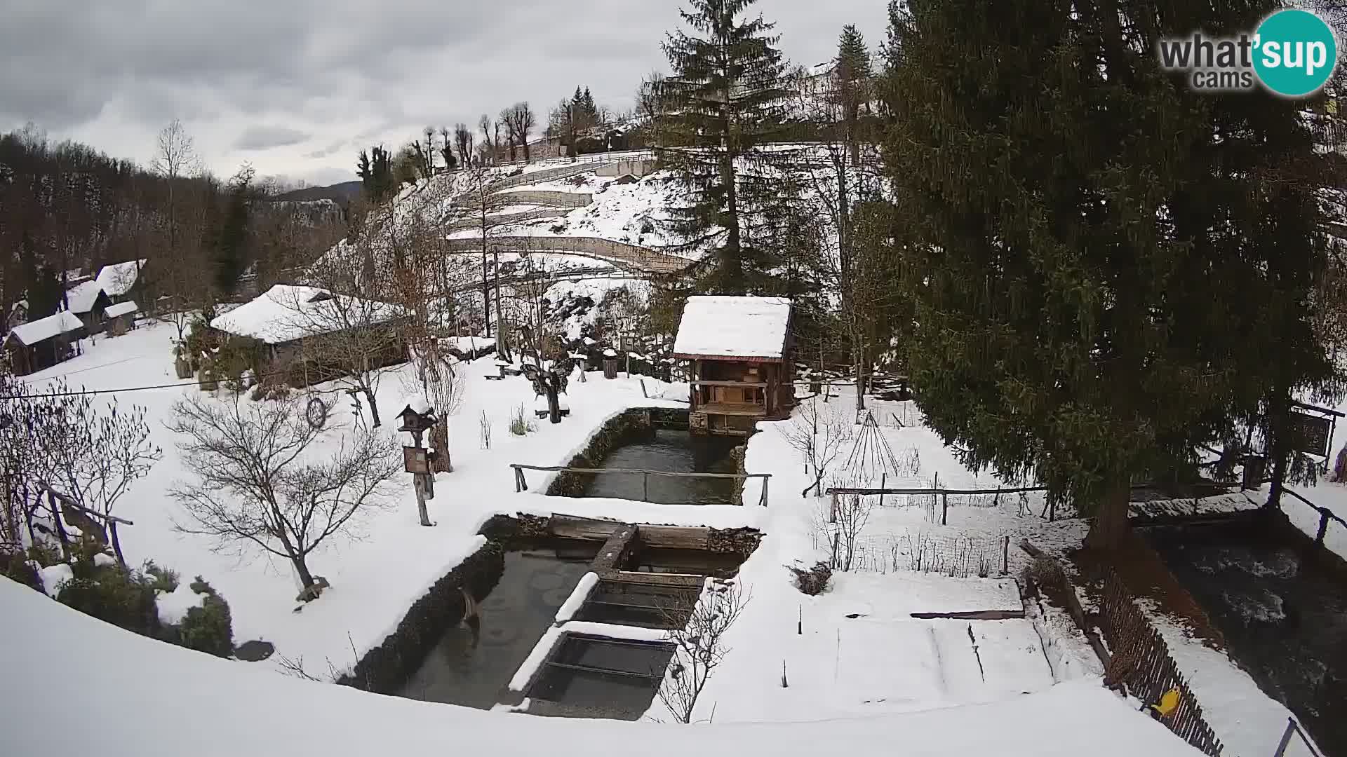 Spletna kamera v živo Rastoke – reka Slunjčica – Hrvaška