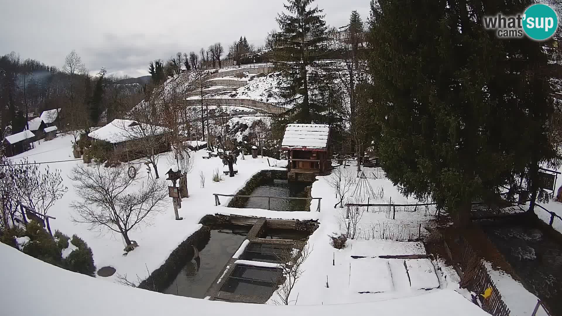 Live-Webcam Rastoke – Fluss Slunjčica – Kroatien
