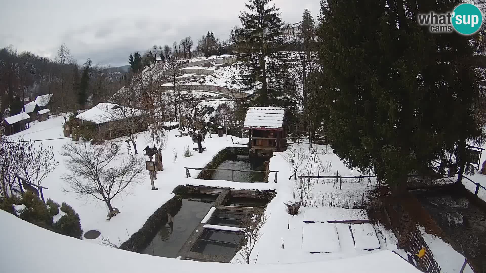 Spletna kamera v živo Rastoke – reka Slunjčica – Hrvaška