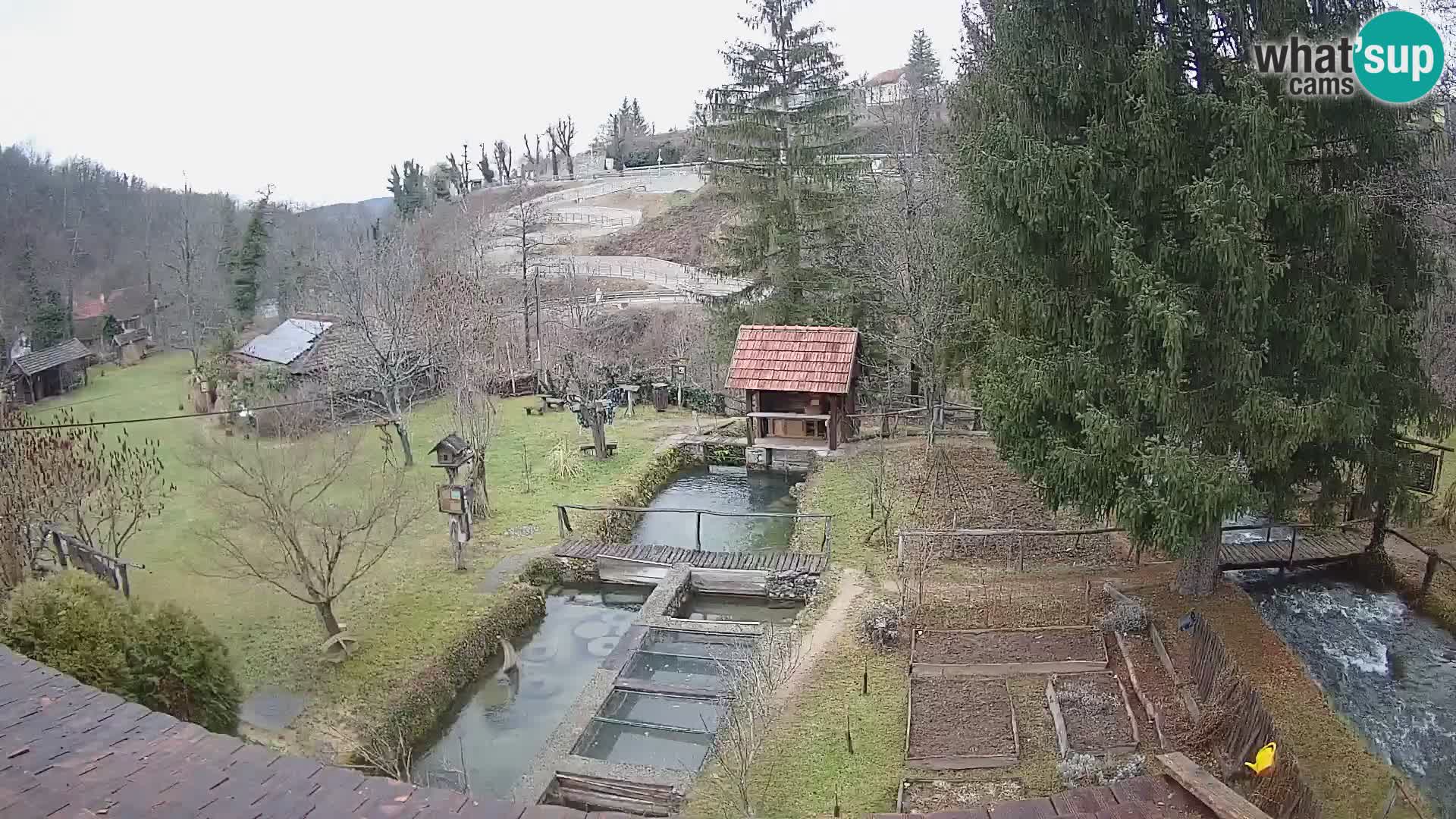 Cámara web en vivo Rastoke – río Slunjčica – Croacia