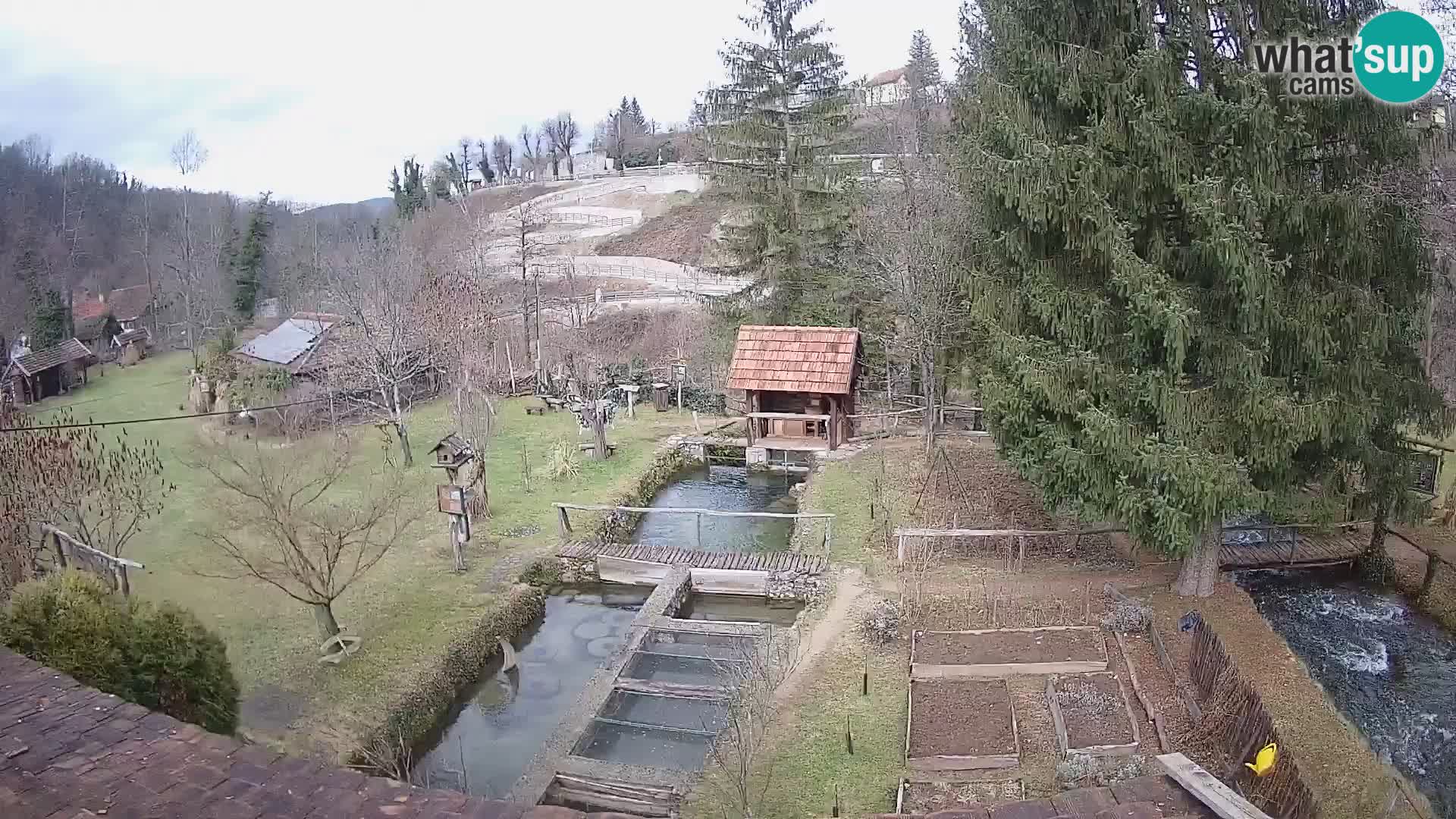 Cámara web en vivo Rastoke – río Slunjčica – Croacia