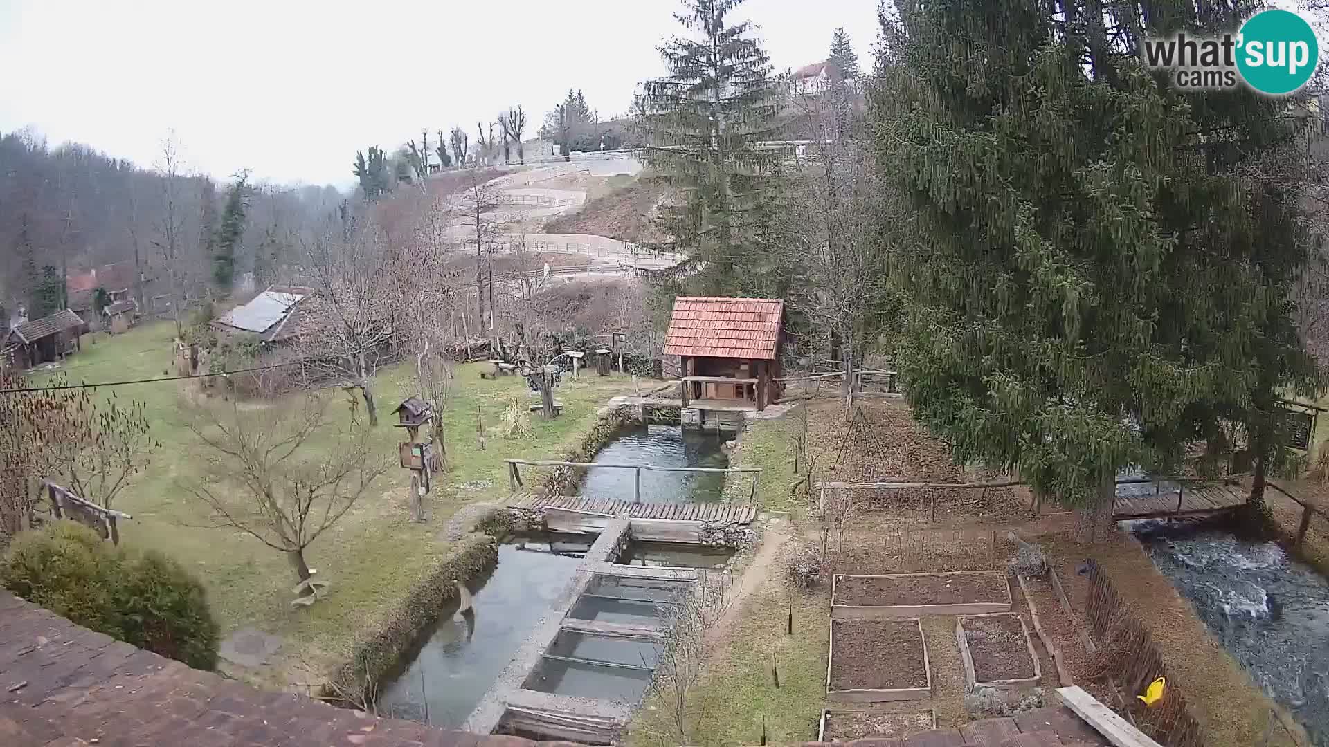 Live-Webcam Rastoke – Fluss Slunjčica – Kroatien