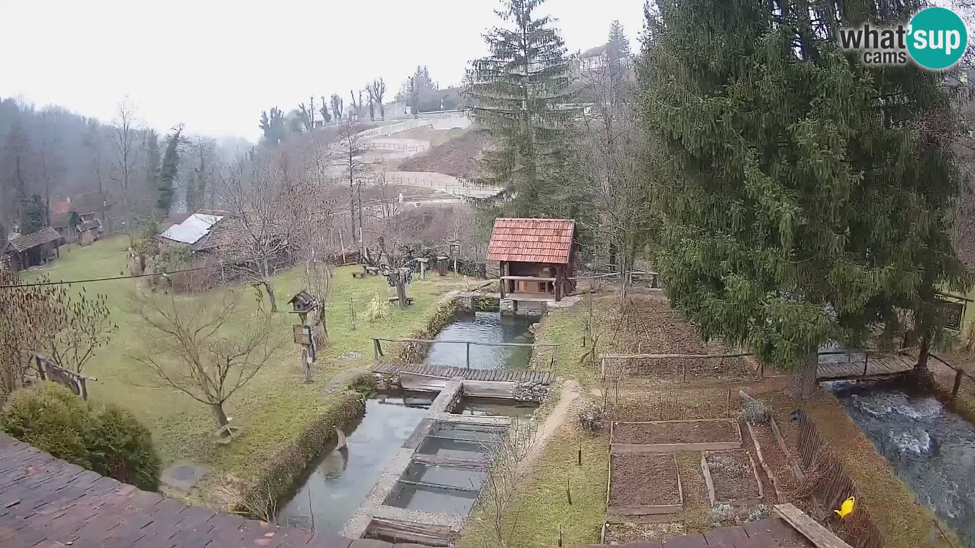 Live webcam Rastoke – river Slunjčica – Croatia