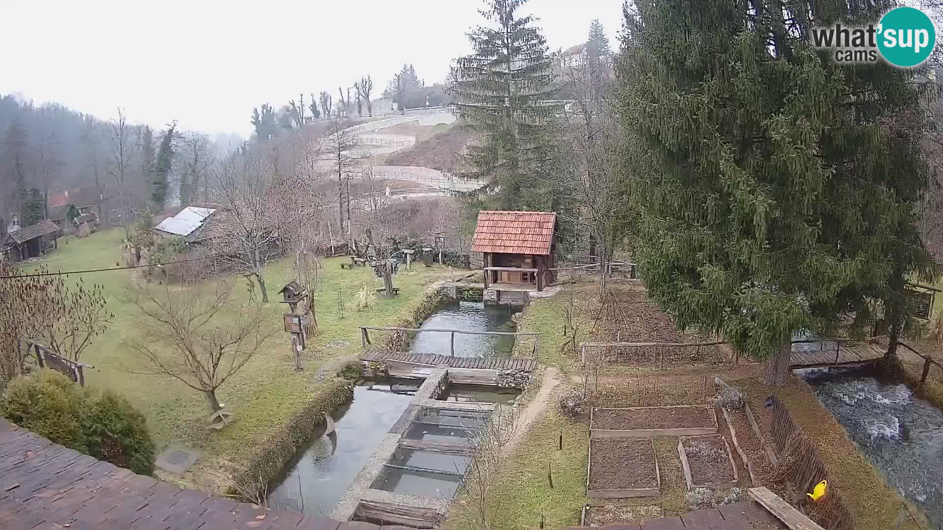 Live-Webcam Rastoke – Fluss Slunjčica – Kroatien