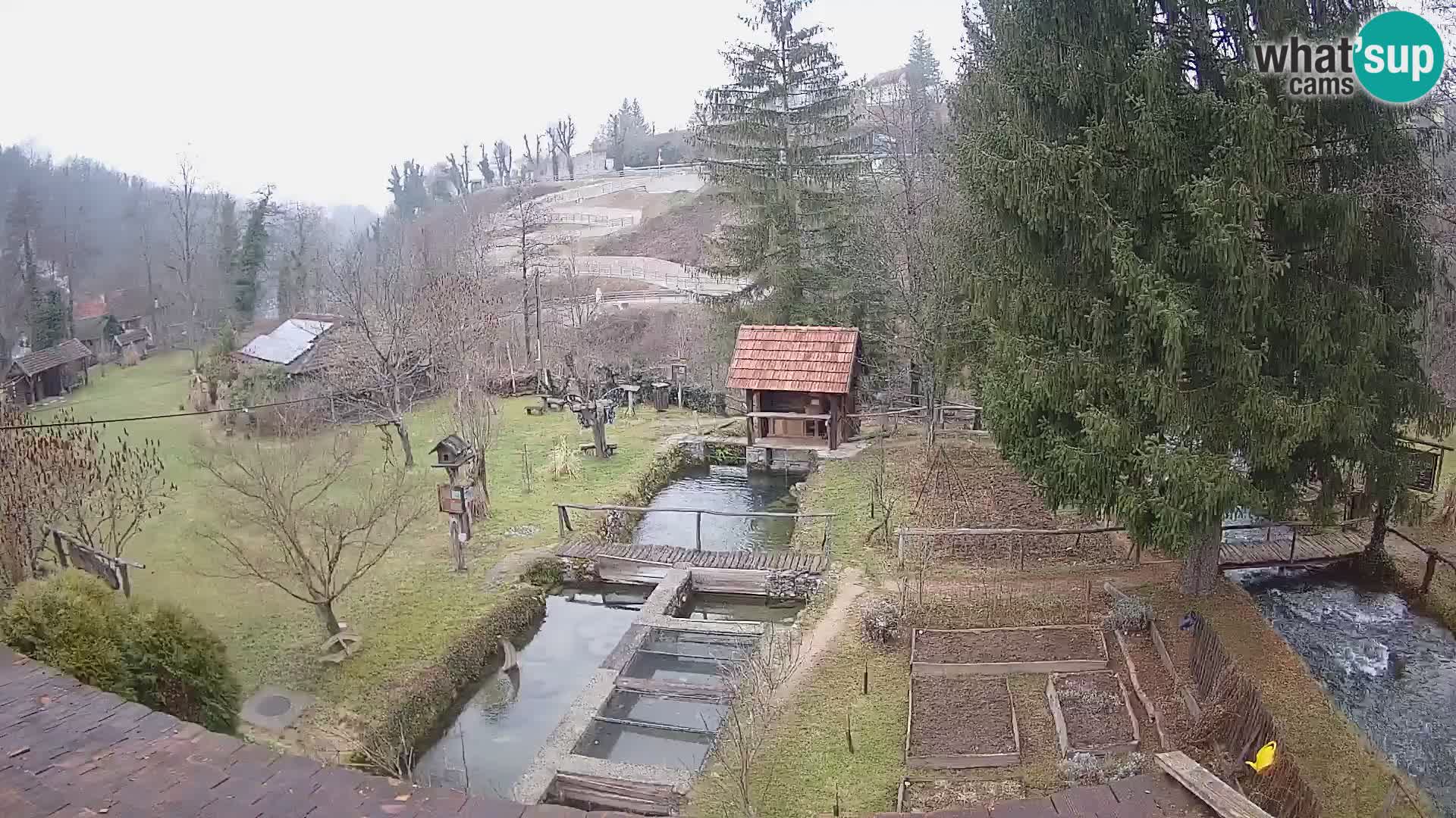 Cámara web en vivo Rastoke – río Slunjčica – Croacia
