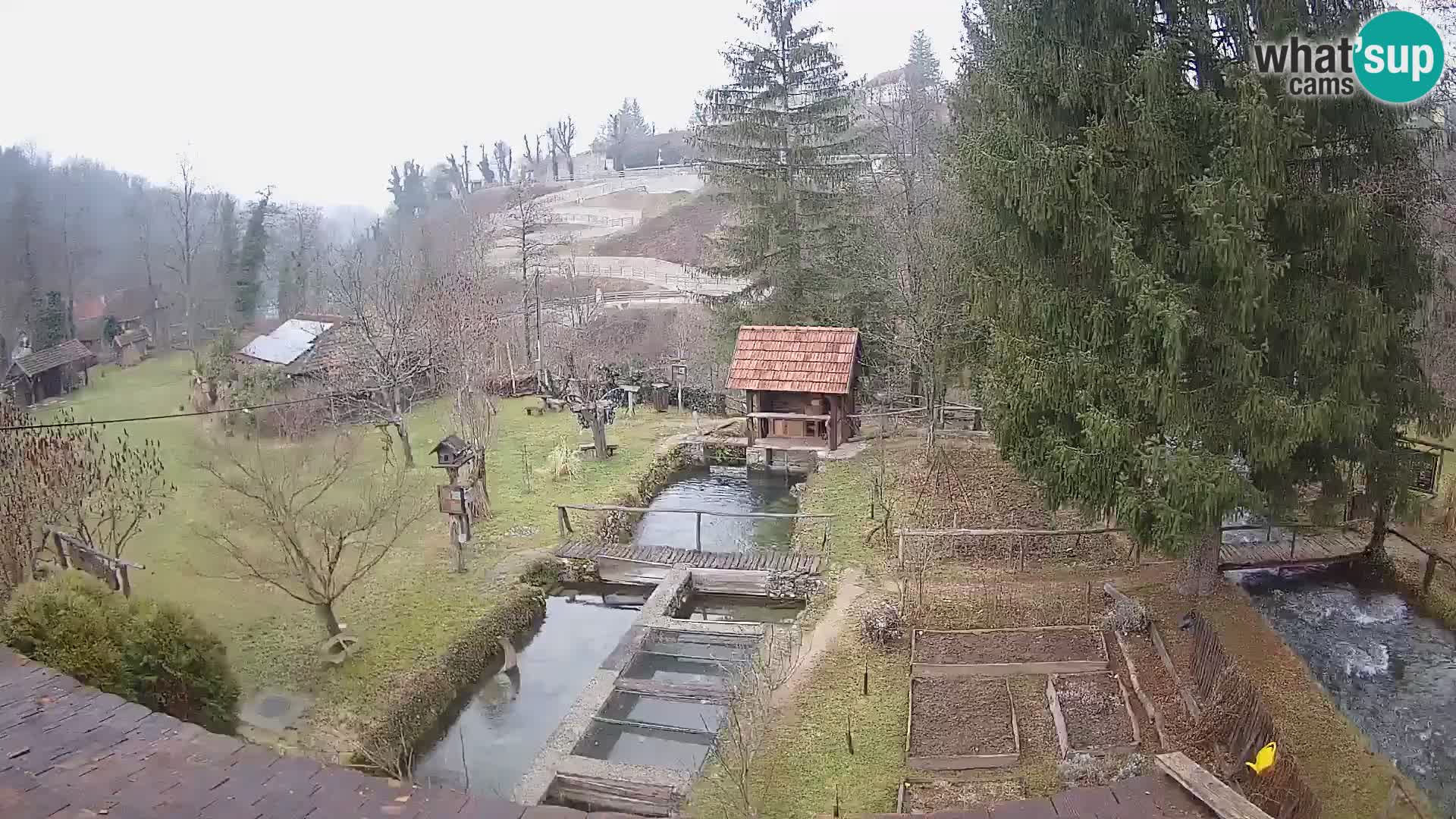 Live-Webcam Rastoke – Fluss Slunjčica – Kroatien