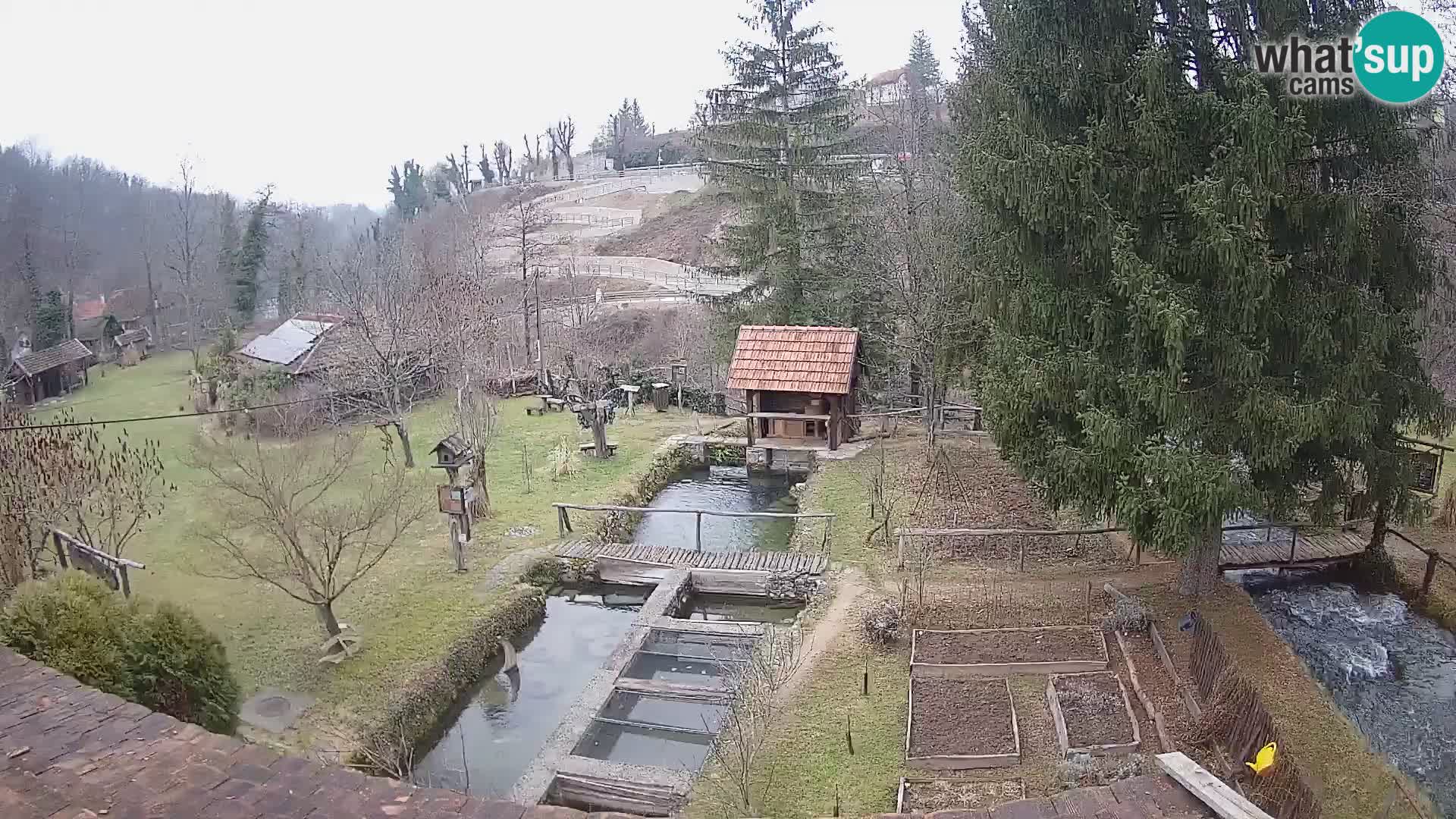 Live-Webcam Rastoke – Fluss Slunjčica – Kroatien