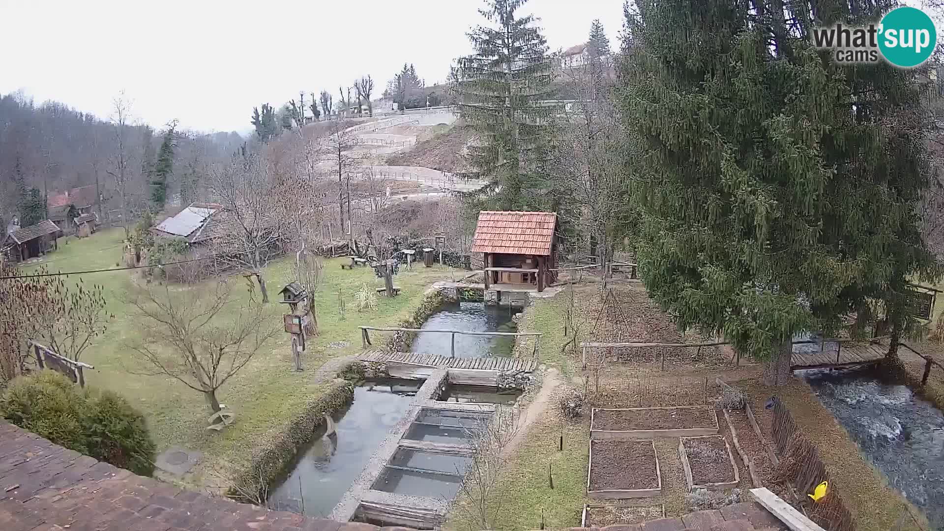 Live-Webcam Rastoke – Fluss Slunjčica – Kroatien