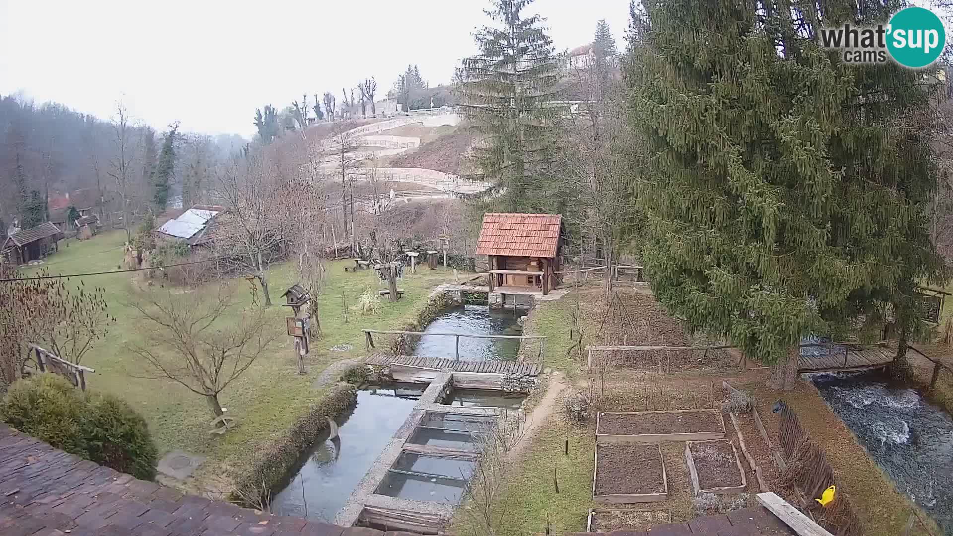 Live webcam Rastoke – river Slunjčica – Croatia