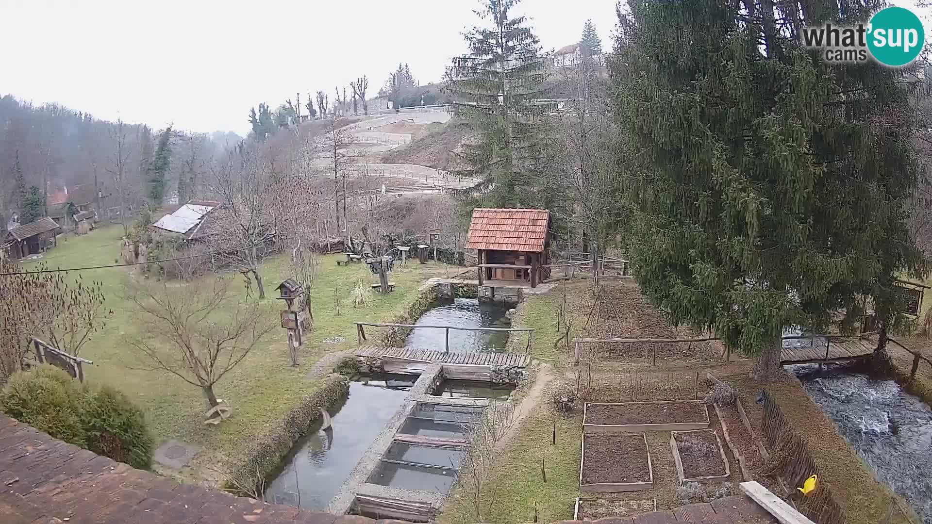 Spletna kamera v živo Rastoke – reka Slunjčica – Hrvaška