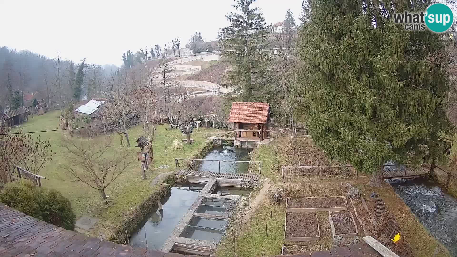 Live webcam Rastoke – river Slunjčica – Croatia
