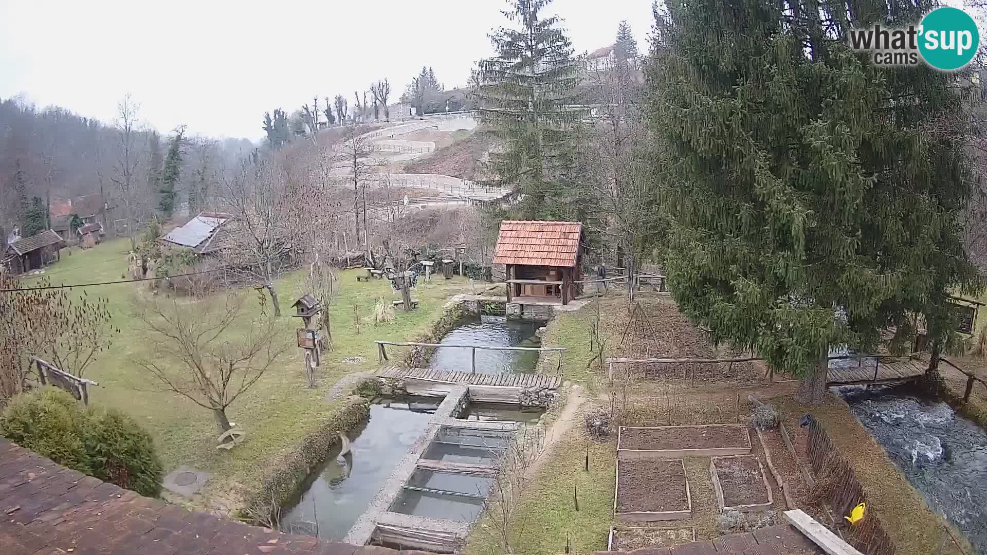Live webcam Rastoke – river Slunjčica – Croatia