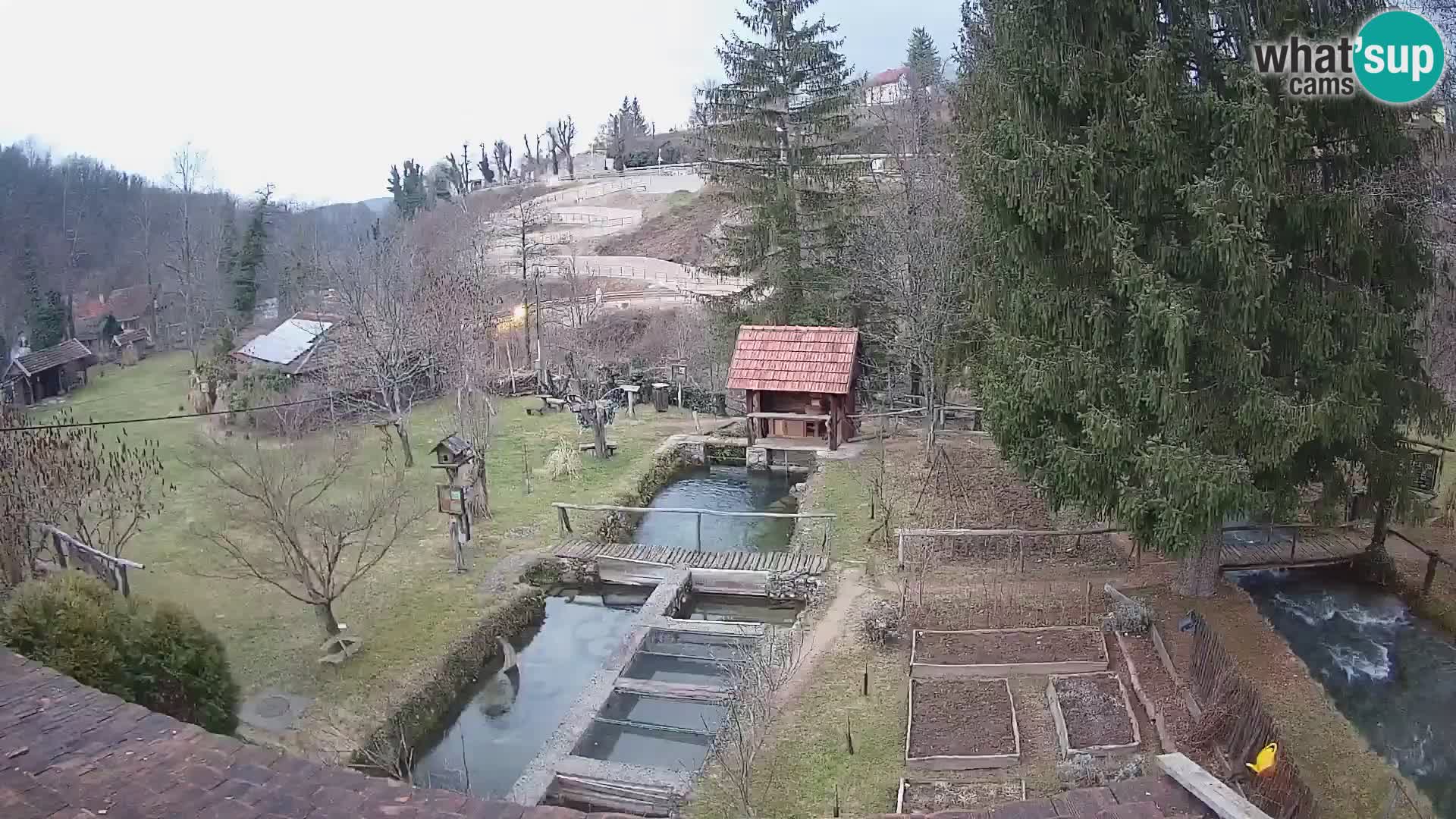 Live webcam Rastoke – river Slunjčica – Croatia