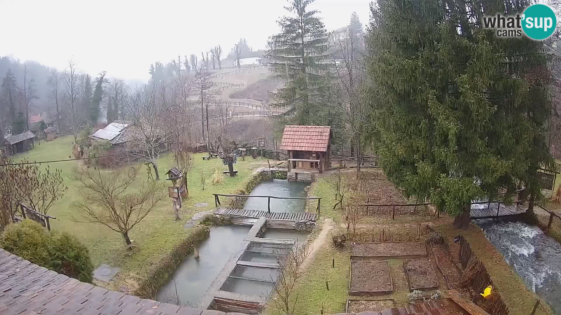 Live-Webcam Rastoke – Fluss Slunjčica – Kroatien