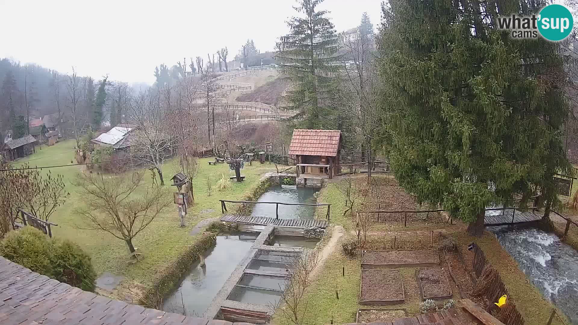 Live-Webcam Rastoke – Fluss Slunjčica – Kroatien