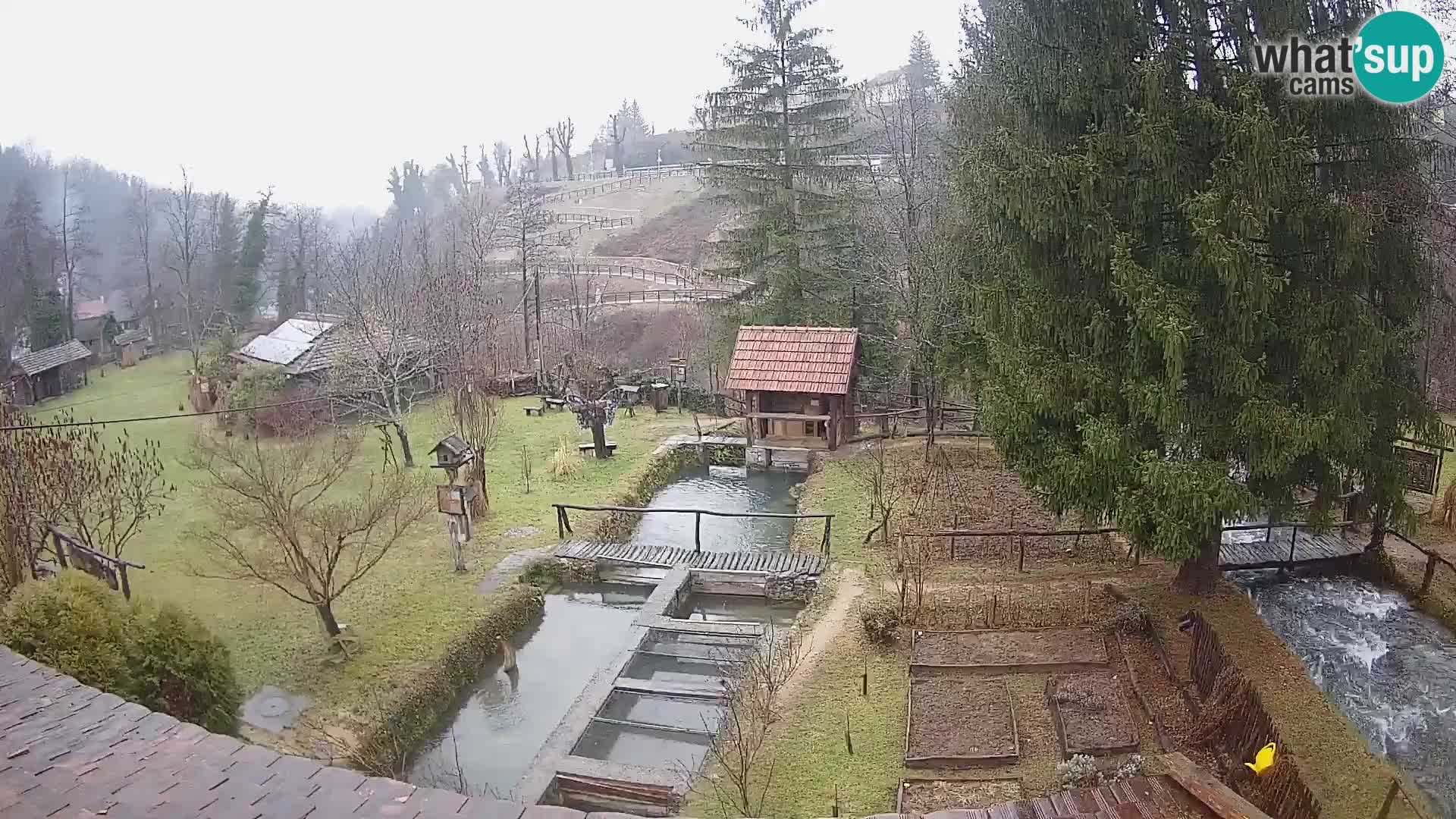 Live-Webcam Rastoke – Fluss Slunjčica – Kroatien