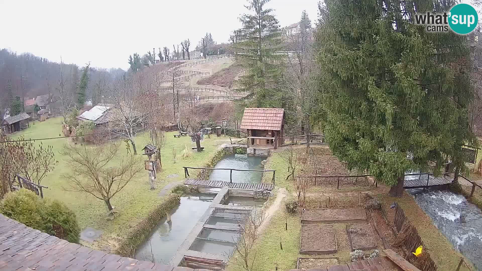 Spletna kamera v živo Rastoke – reka Slunjčica – Hrvaška