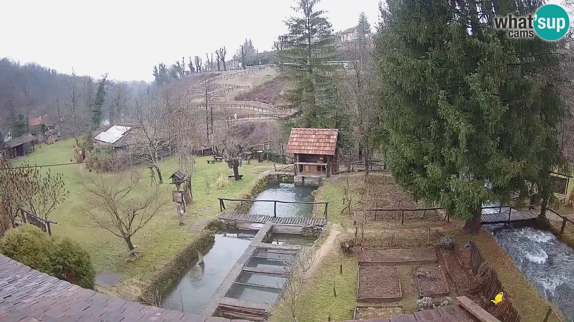 Live-Webcam Rastoke – Fluss Slunjčica – Kroatien