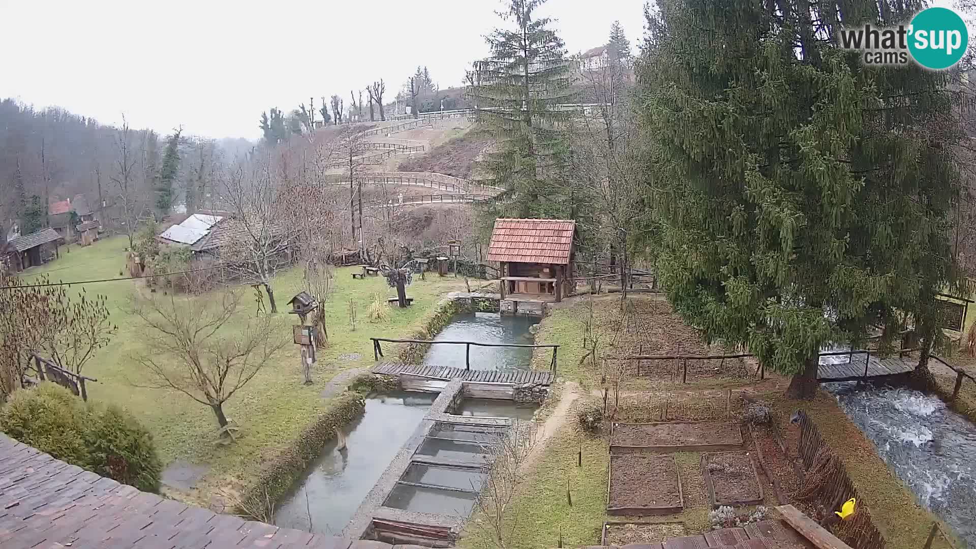 Live webcam Rastoke – river Slunjčica – Croatia