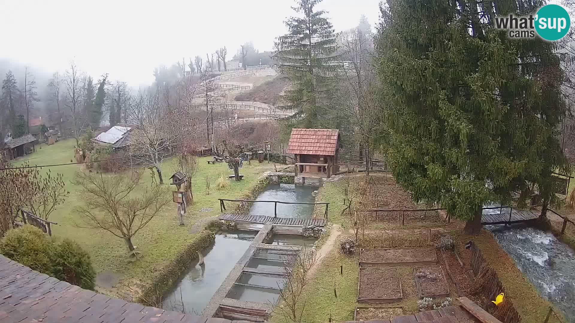 Live-Webcam Rastoke – Fluss Slunjčica – Kroatien