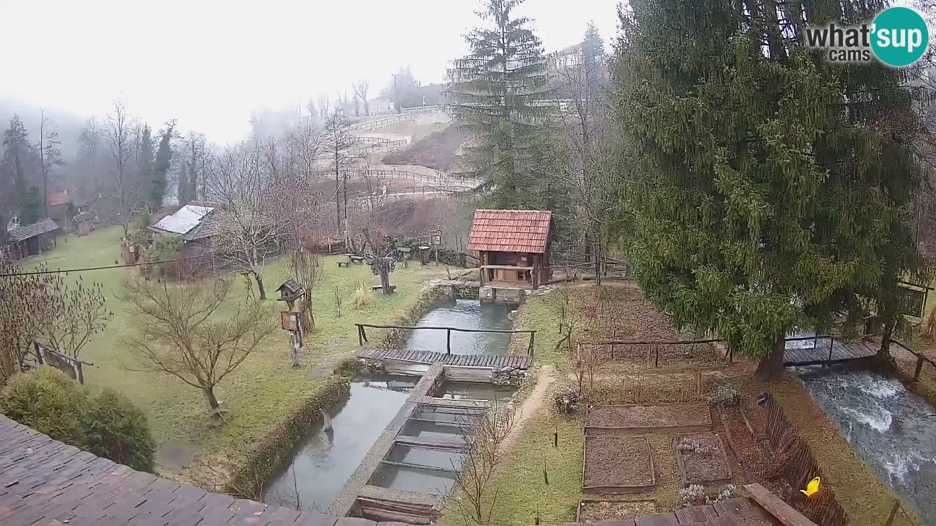 Live-Webcam Rastoke – Fluss Slunjčica – Kroatien