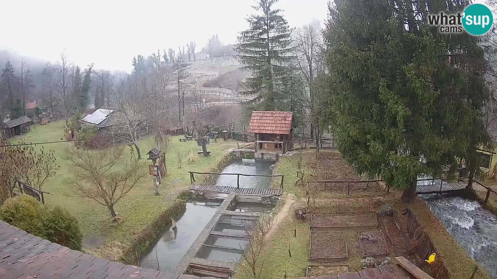 Spletna kamera v živo Rastoke – reka Slunjčica – Hrvaška