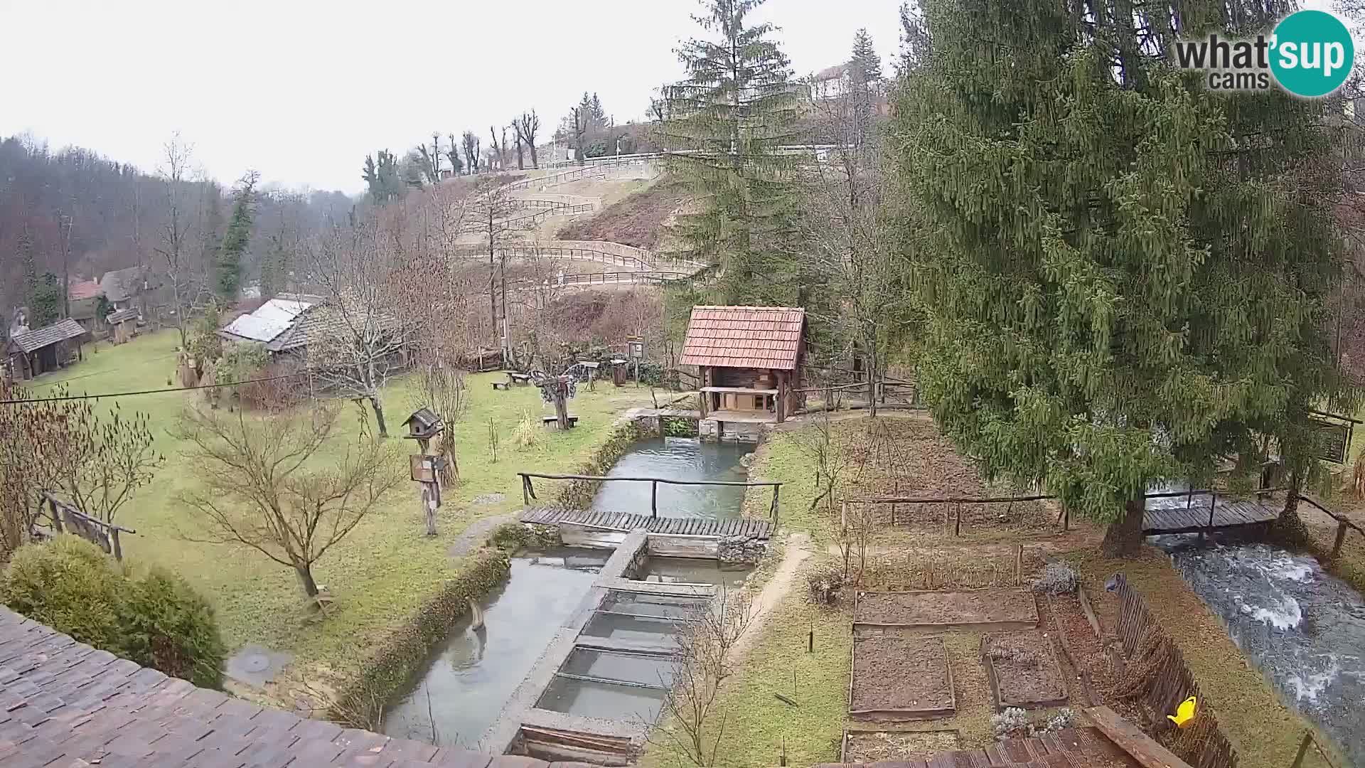 Live-Webcam Rastoke – Fluss Slunjčica – Kroatien