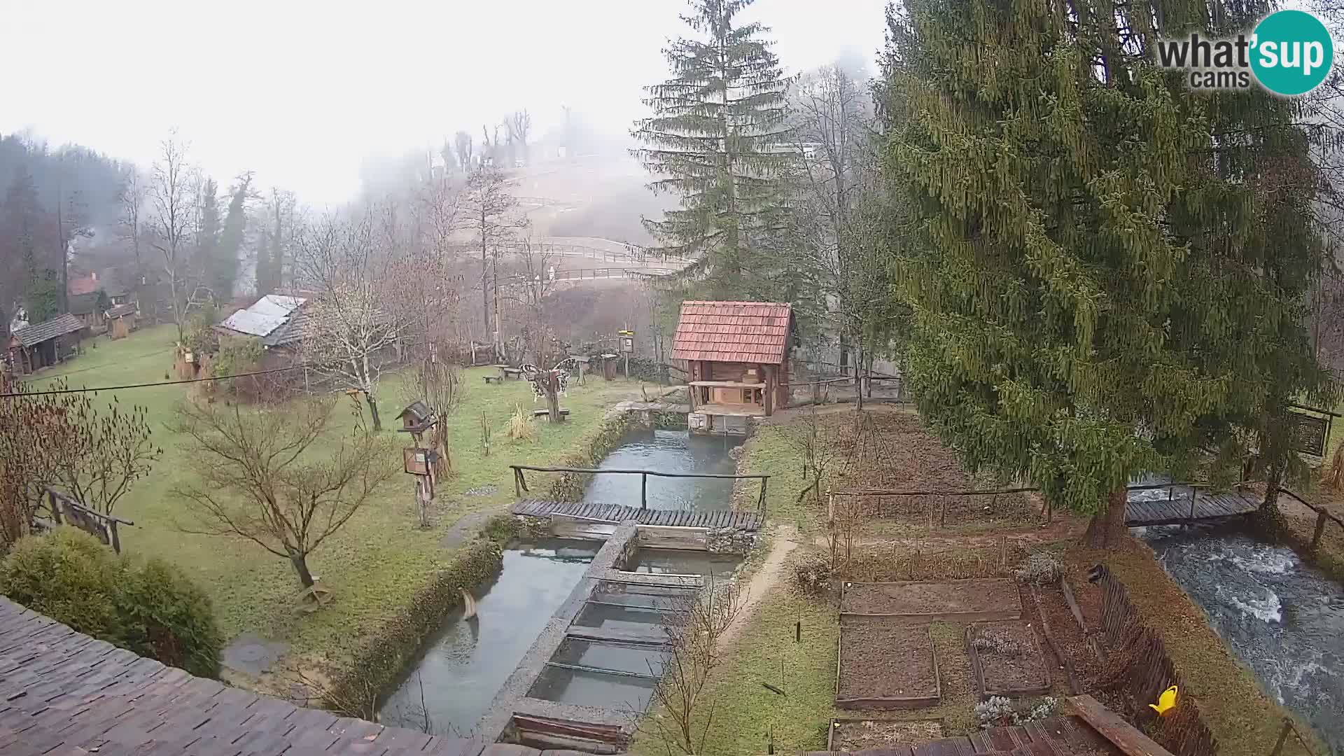 Cámara web en vivo Rastoke – río Slunjčica – Croacia