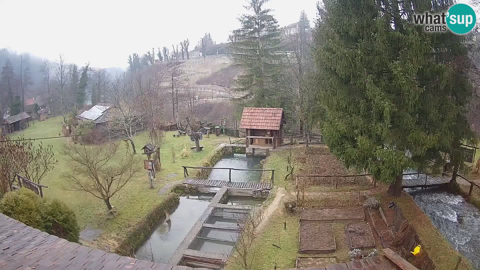 Cámara web en vivo Rastoke – río Slunjčica – Croacia