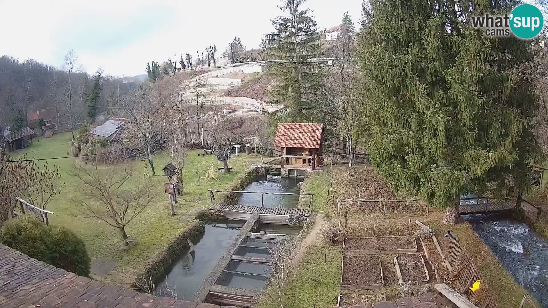 Spletna kamera v živo Rastoke – reka Slunjčica – Hrvaška