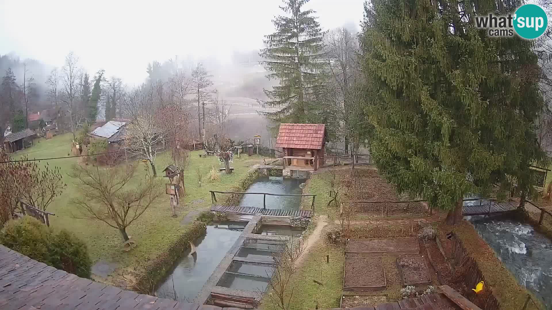 Live webcam Rastoke – river Slunjčica – Croatia