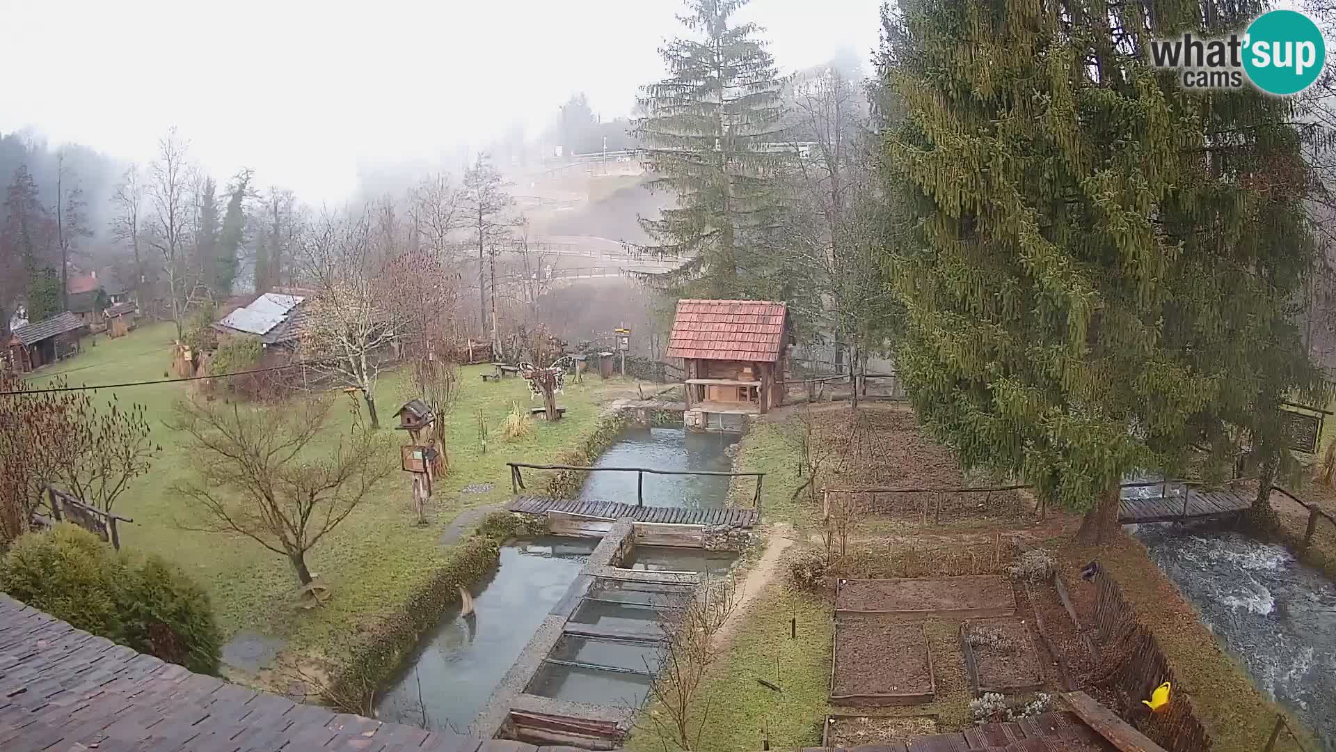 Live-Webcam Rastoke – Fluss Slunjčica – Kroatien