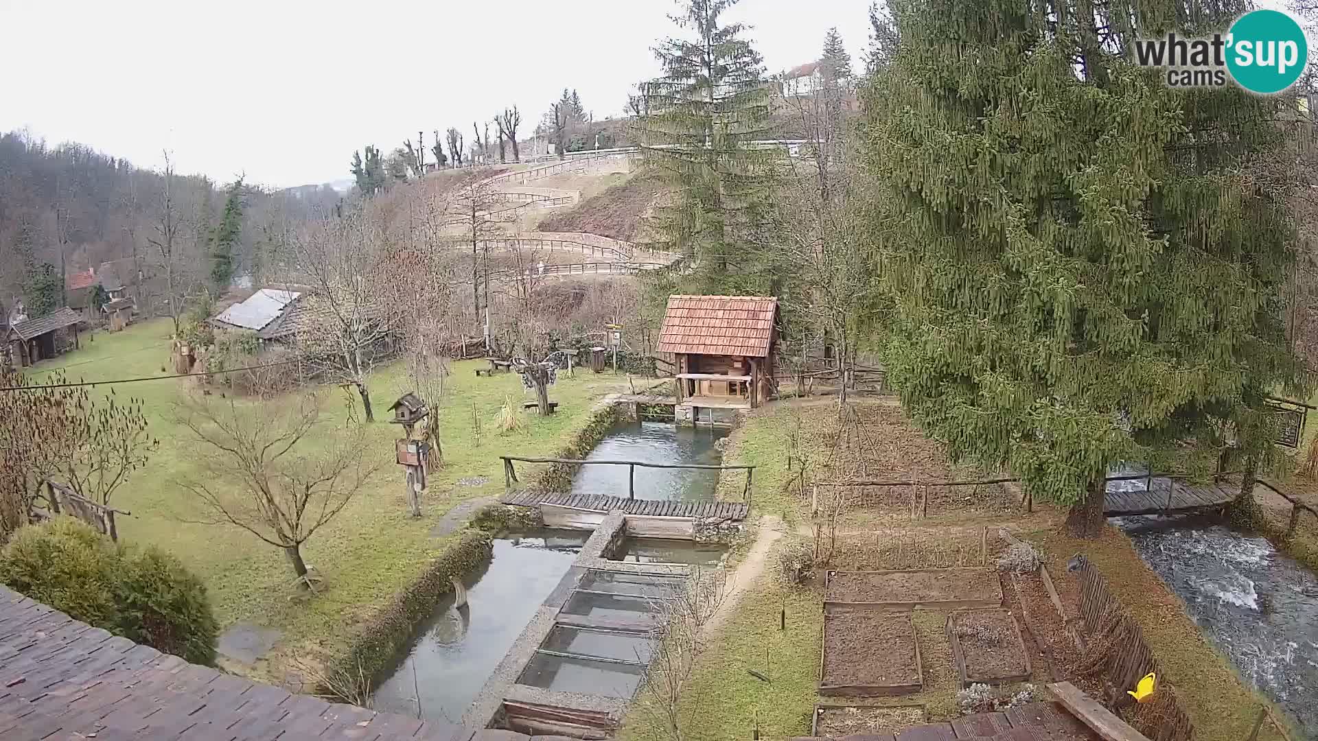 Spletna kamera v živo Rastoke – reka Slunjčica – Hrvaška