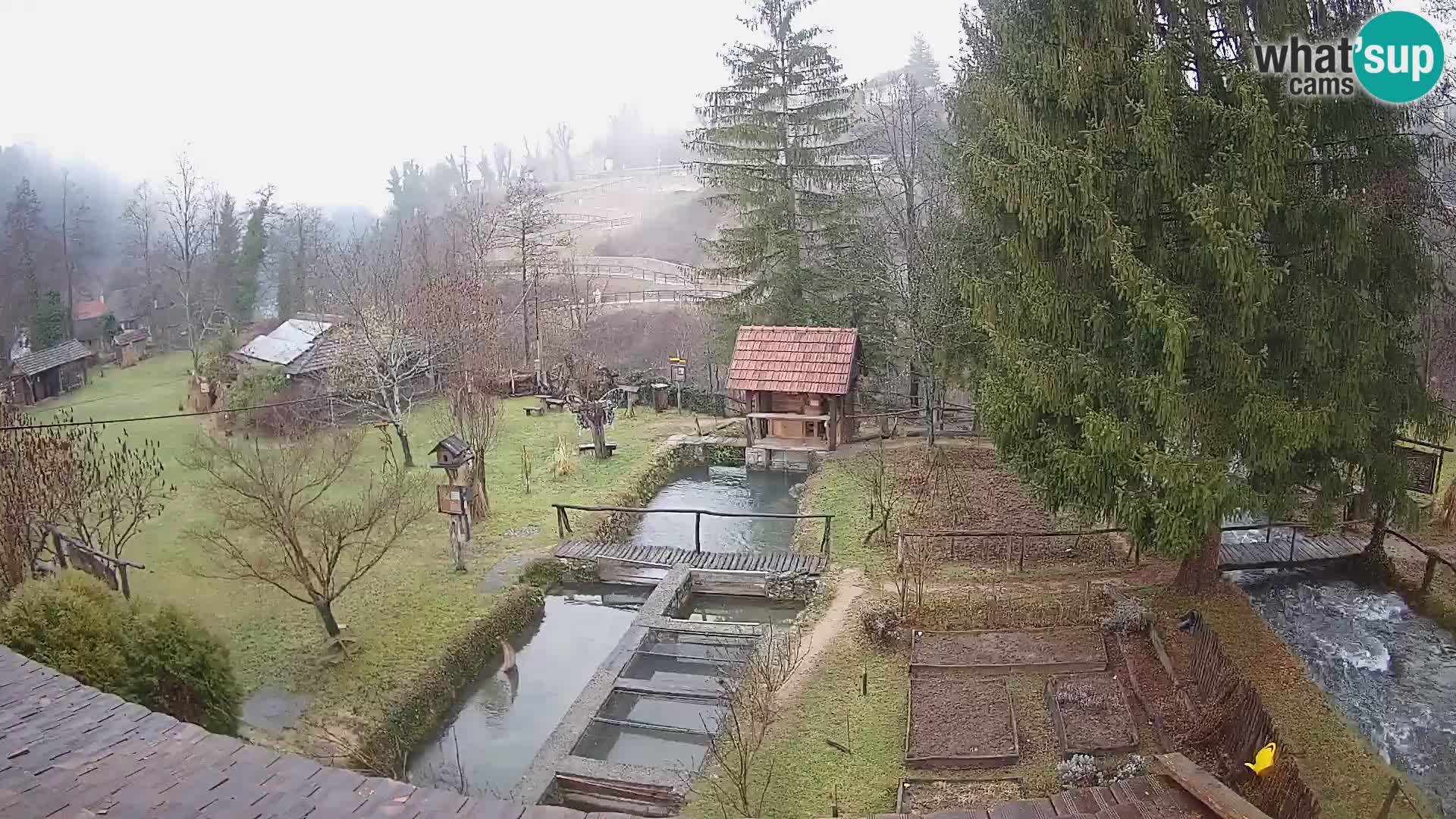Cámara web en vivo Rastoke – río Slunjčica – Croacia