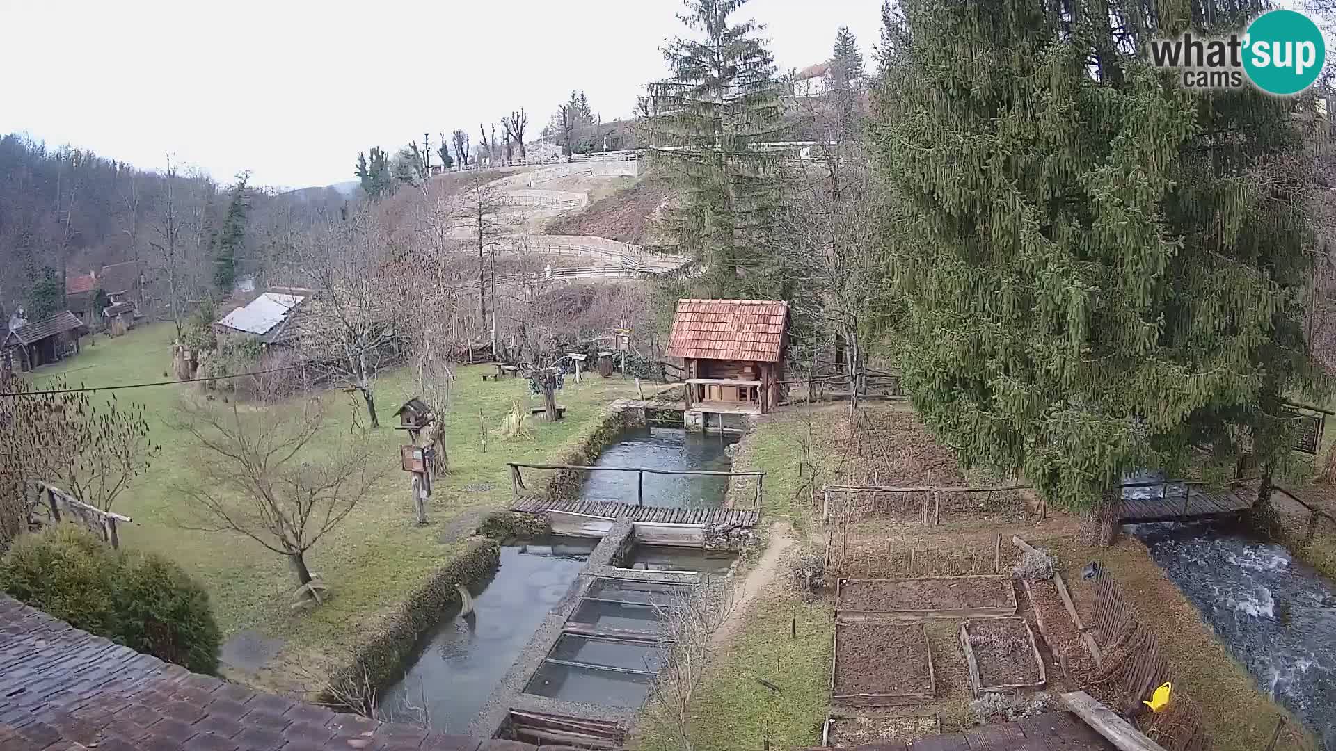 Live-Webcam Rastoke – Fluss Slunjčica – Kroatien