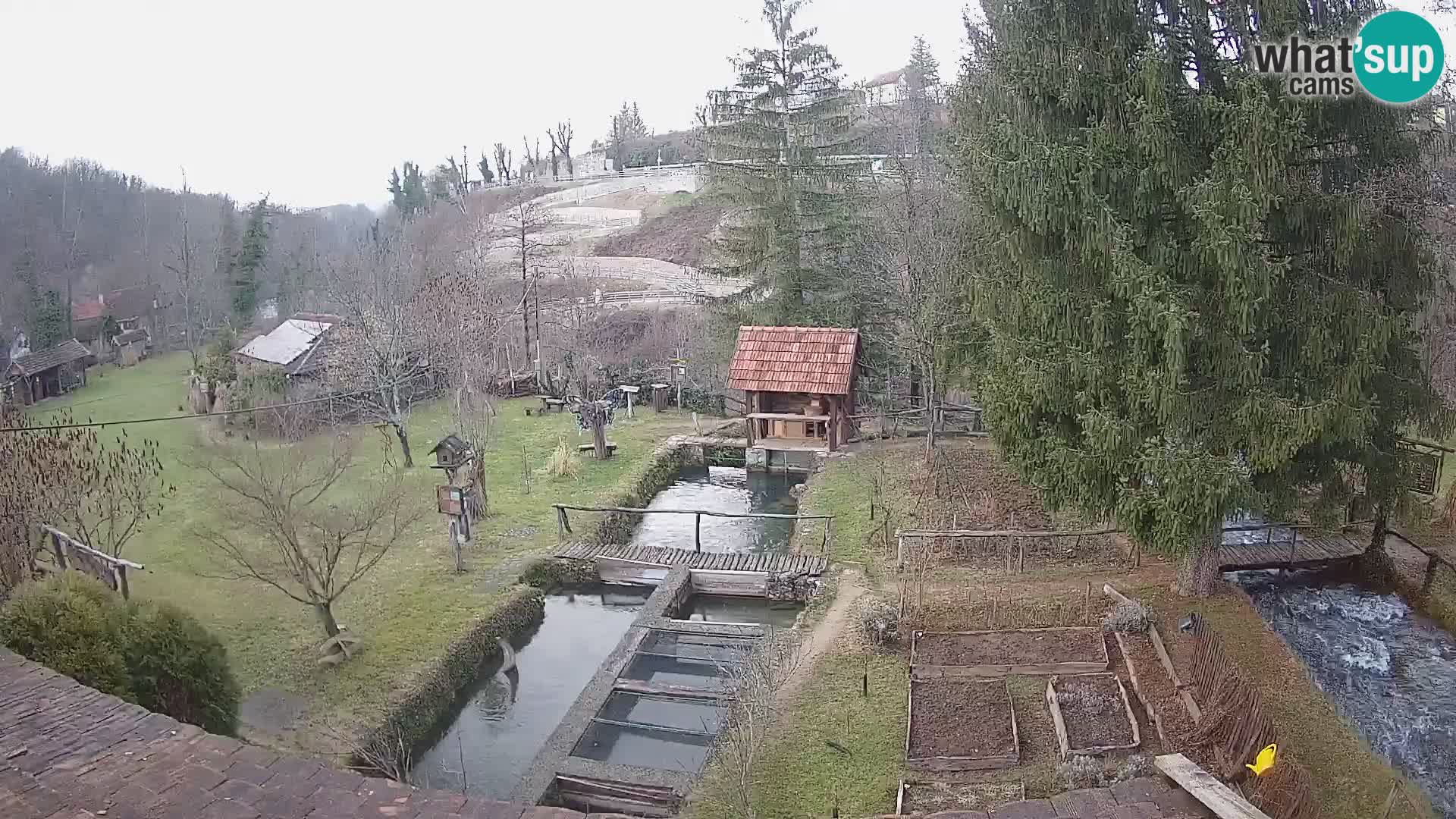 Live webcam Rastoke – fiume Slunjčica – Croazia