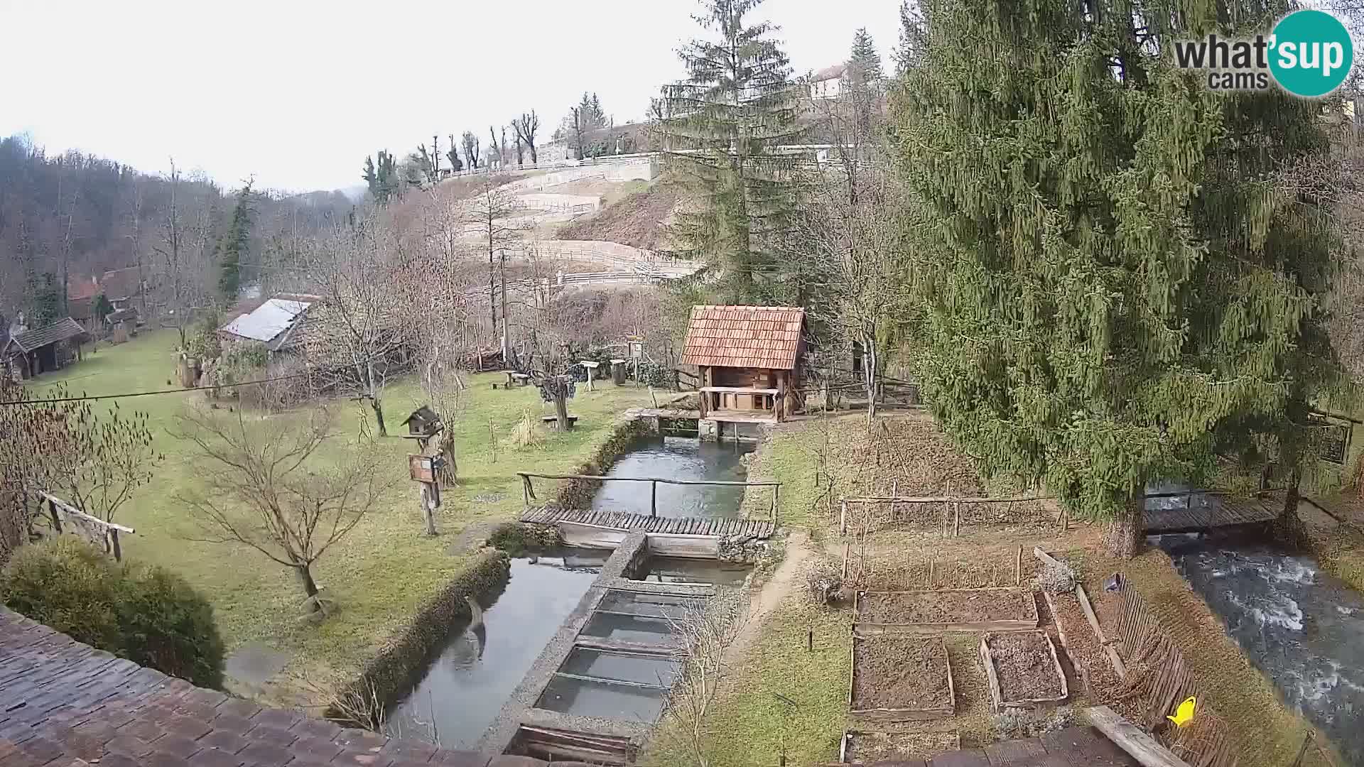 Spletna kamera v živo Rastoke – reka Slunjčica – Hrvaška