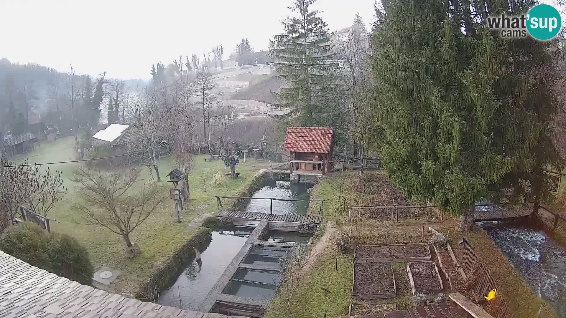 Webcam en direct Rastoke – rivière Slunjčica – Croatie