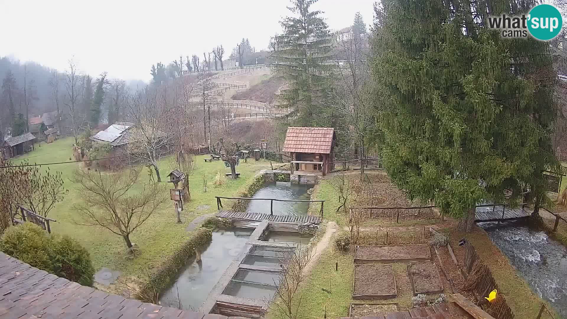 Spletna kamera v živo Rastoke – reka Slunjčica – Hrvaška