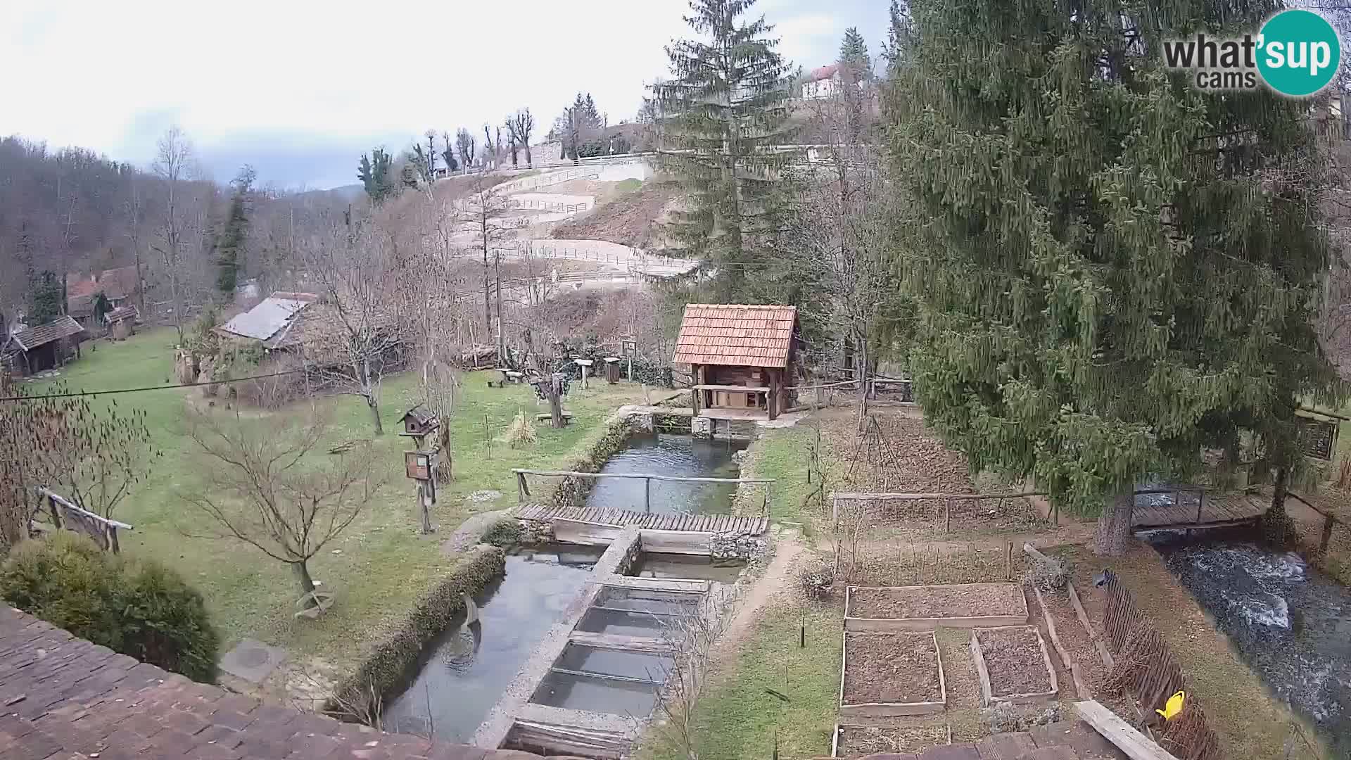 Live-Webcam Rastoke – Fluss Slunjčica – Kroatien