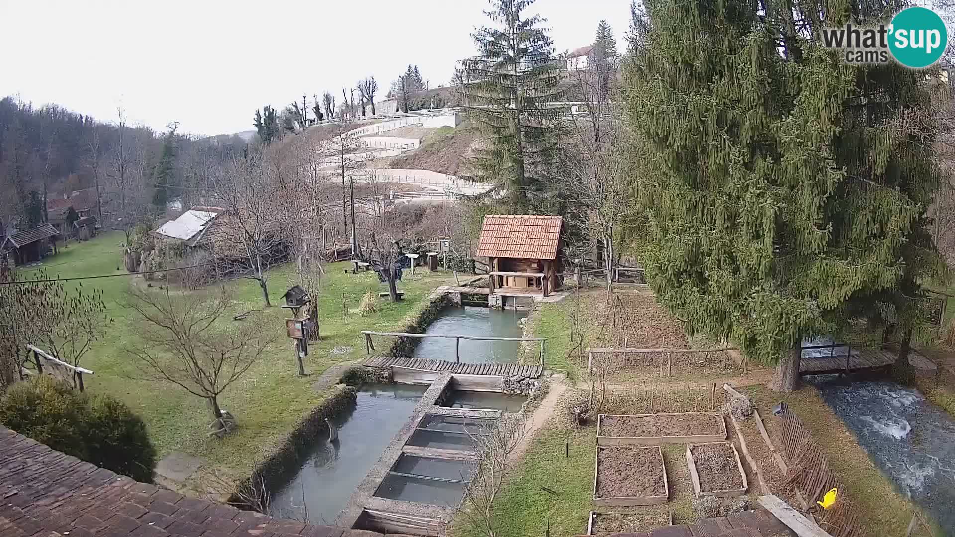 Live-Webcam Rastoke – Fluss Slunjčica – Kroatien